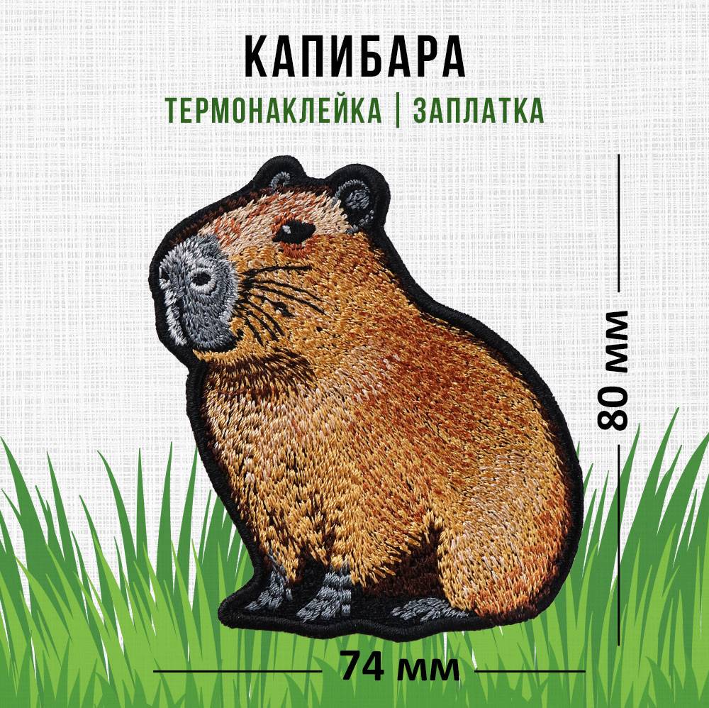 Капибара - термонаклейка, заплатка 8х7,4см